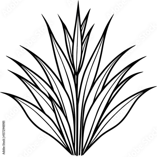 Bermuda Grass line art vector
