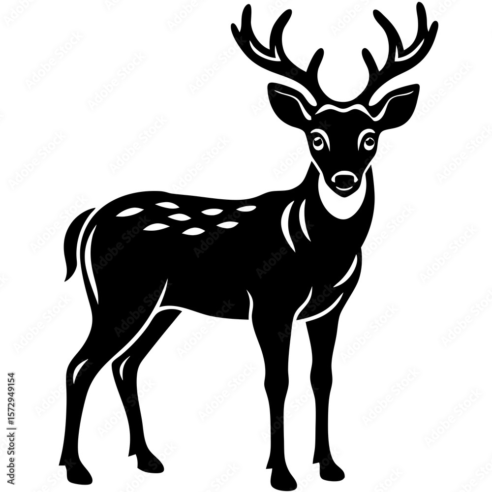 Fototapeta premium silhouette of a deer