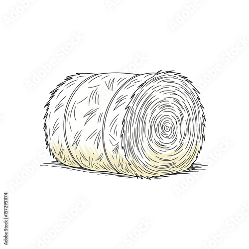 Rolled hay bale sketch illustration on white background  