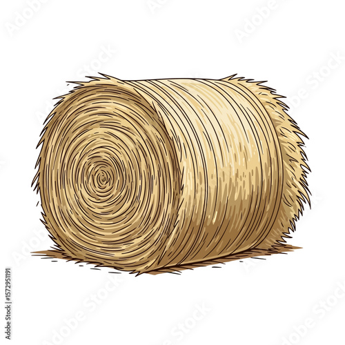 Round hay bale on white background representing symbol of Lammas  