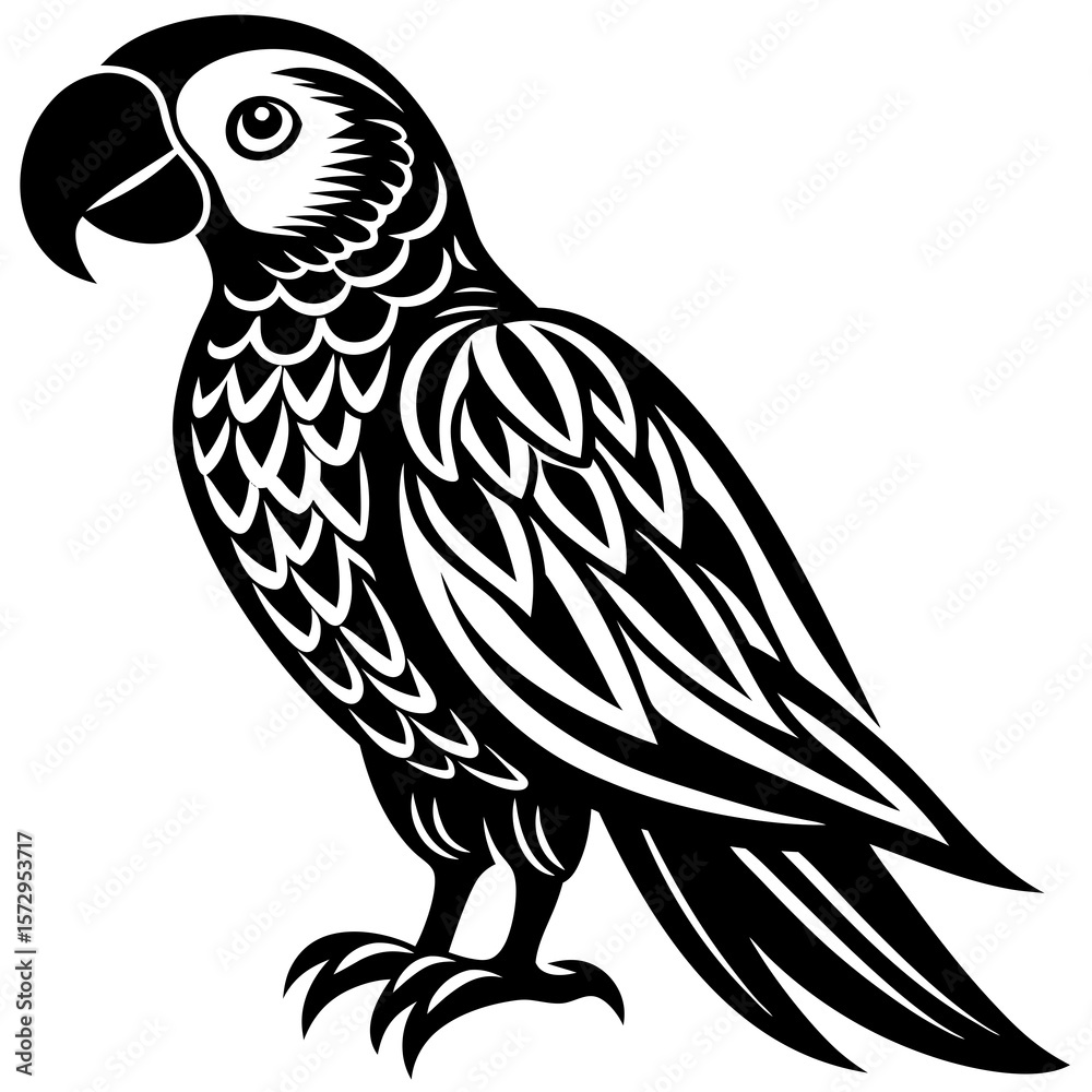 Obraz premium black and white parrot