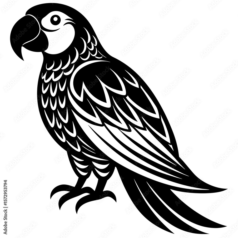 Obraz premium black and white parrot