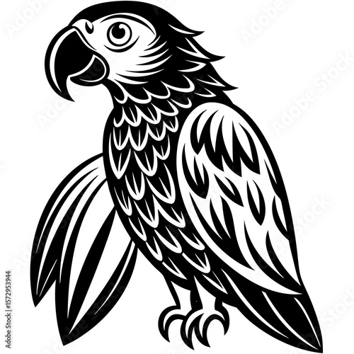 bird of prey