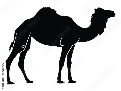 A minimalist silhouette illustration of a camel on a white background
