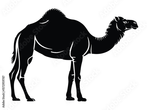 A minimalist silhouette illustration of a camel on a white background