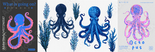 Octopus Art Set - Colorful Sea Creature and seaweed