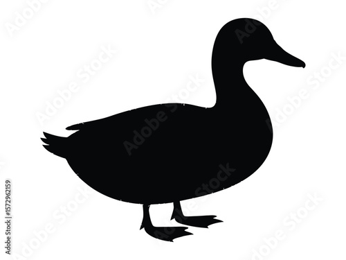 A minimalist silhouette illustration of a duck in a white background