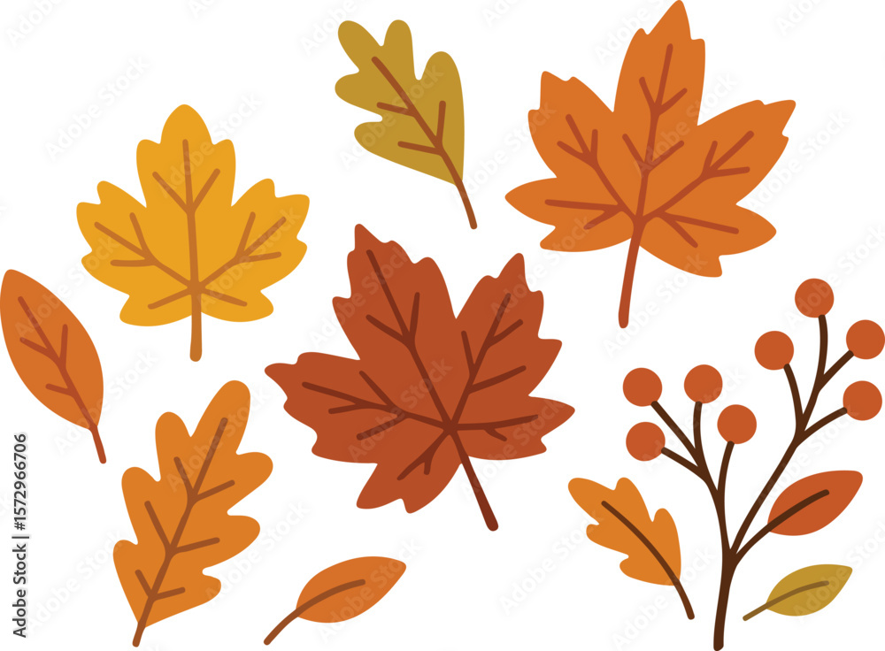 Autumn-themed vector illustration featuring hand-drawn fall leaves. Ideal for seasonal designs, packaging, crafts, and Thanksgiving or holiday decorations in a warm earthy palette.