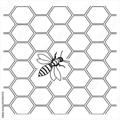 bee on honeycomb