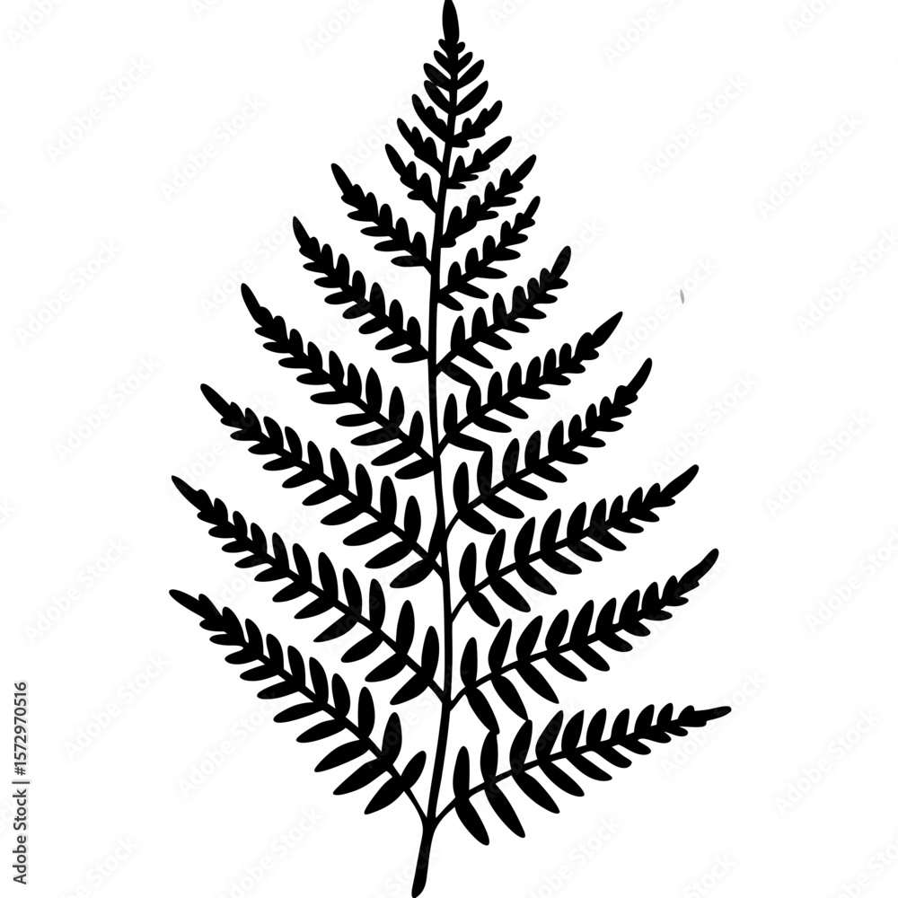 Boston Fern line art vector