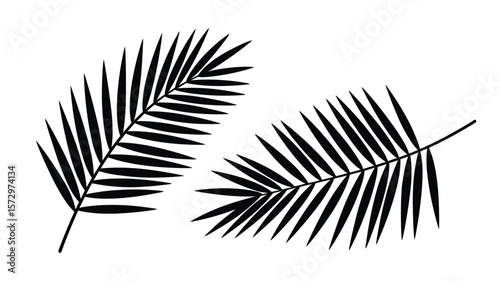 Two black palm fronds on a white background in a simple graphic style