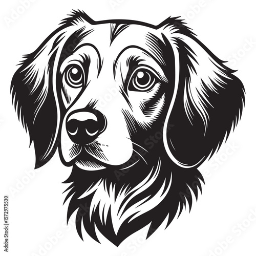 Cute Dog Vector illustration line art Drawing black and white