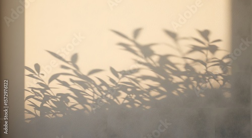 Wallpaper Mural Abstract shadows of plant leaves cast on white wall during golden hour in minimalist interior space Torontodigital.ca