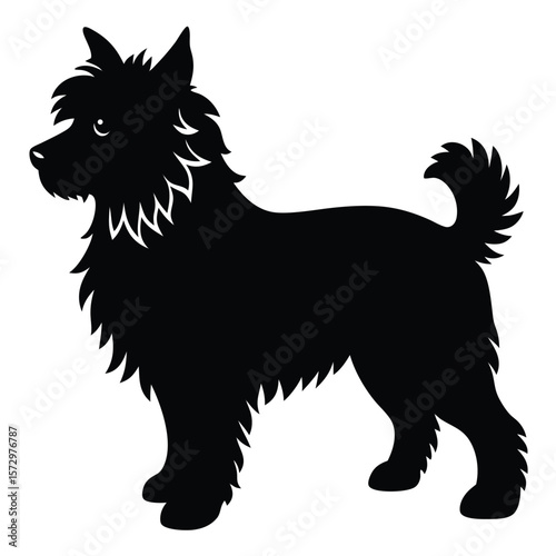 Fluffy Dog vector silhouette Single collection 