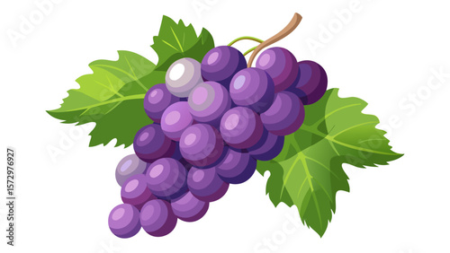 Fresh bunch of ripe purple grapes with green leaves on a white background