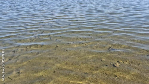 Small waves on the surface in the lake in summer season. Water and waves in day