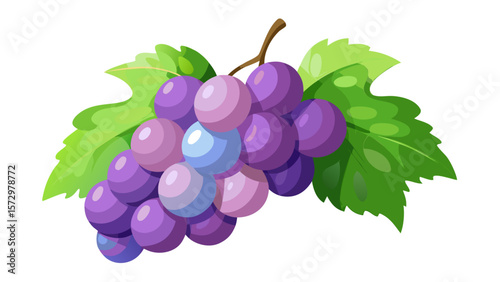 Illustration of a bunch of purple grapes with green leaves on a white background
