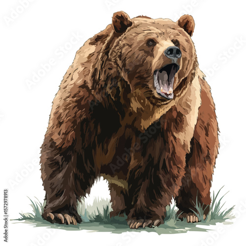 Brown bear vector illustration