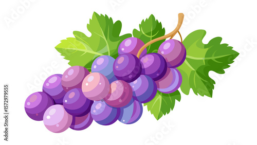 A bunch of ripe purple grapes with green leaves on a white background