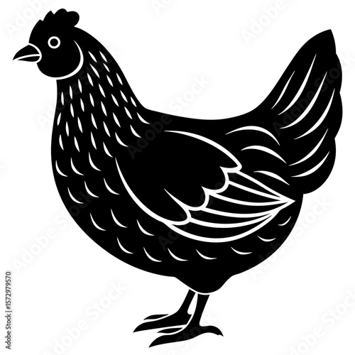hen with eggs