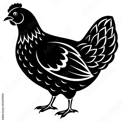 hen and rooster
