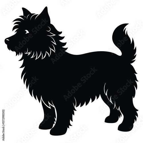 Fluffy Dog vector silhouette Single collection 
