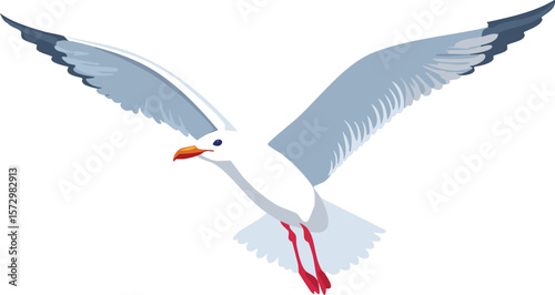 set of seagulls in flight, flying white birds cut out,bird, wing, illustration, animal, design, nature, vector, black and white, contour, feather, flight, fly, flying, graphic, horizontal, jungle, 