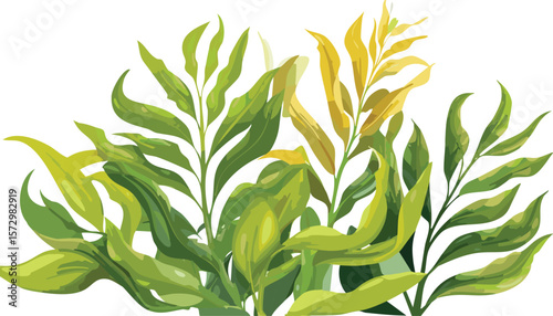 seaweed kelp plants isolated on transparent background, cutout png,biology, colourful, colours, diving, eco, glossy, japan, lawn, reef, single, stripes, system, underwater, wet, wildlife,vector.