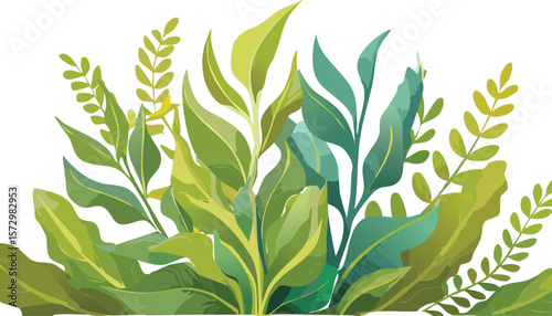 seaweed kelp plants isolated on transparent background, cutout png,biology, colourful, colours, diving, eco, glossy, japan, lawn, reef, single, stripes, system, underwater, wet, wildlife,vector.