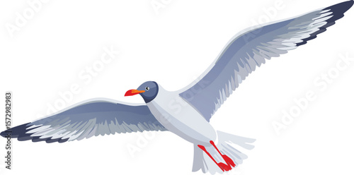 set of seagulls in flight, flying white birds cut out,bird, wing, illustration, animal, design, nature, vector, black and white, contour, feather, flight, fly, flying, graphic, horizontal, jungle, 
