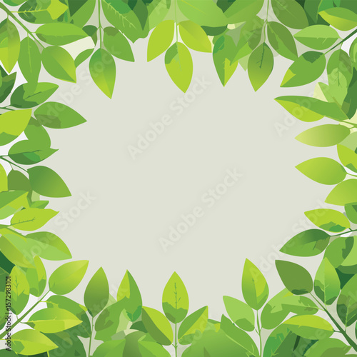 frame of green leaves, fresh hedge lush plants forming a frame with empty space for text. transparent white background. cutout.border, decor, floral, eco, spring, tree, space, hedge, beauty,
