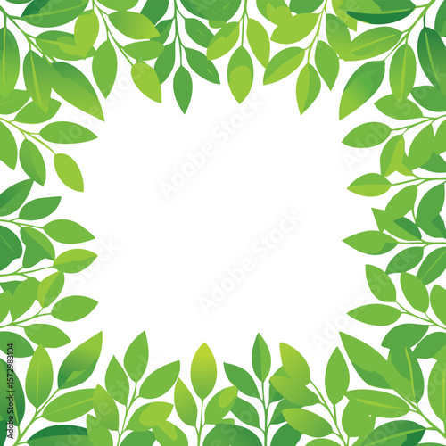 frame of green leaves, fresh hedge lush plants forming a frame with empty space for text. transparent white background. cutout.border, decor, floral, eco, spring, tree, space, hedge, beauty,