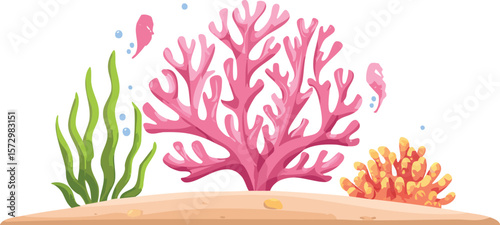 pink coral reef on white transparent background, ocean aquarium waterscape element, cutout png.vector.reef, coral, design element, art and craft, animal wildlife, animal markings, pink, fish tank,