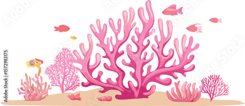 pink coral reef on white transparent background, ocean aquarium waterscape element, cutout png.vector.reef, coral, design element, art and craft, animal wildlife, animal markings, pink, fish tank,
