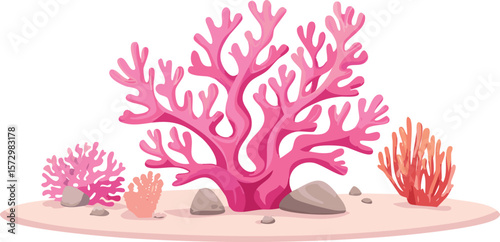 pink coral reef on white transparent background, ocean aquarium waterscape element, cutout png.vector.reef, coral, design element, art and craft, animal wildlife, animal markings, pink, fish tank,
