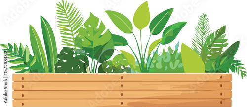 seaweed kelp plants isolated on transparent background, cutout png.leaf, grass, flora, beauty, tree branch, green, underwater, cut-out, isolated, ocean, white, algae, kelp, nature, seaweed,vector.