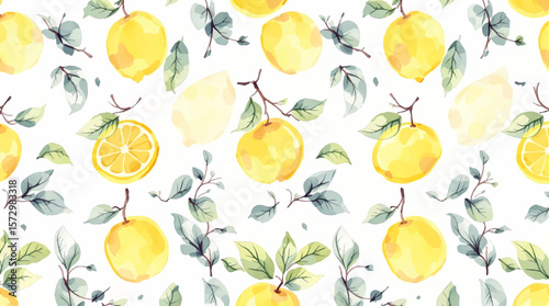 Hand drawn watercolor lemon Sicilian painting on white background. Fruit vector illustration. Pattern watercolor fruit.