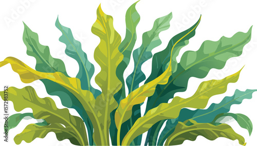 seaweed kelp plants isolated on transparent background, cutout png.leaf, grass, flora, beauty, tree branch, green, underwater, cut-out, isolated, ocean, white, algae, kelp, nature, seaweed,vector.