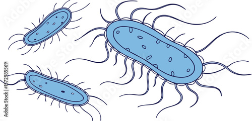 Three blue cartoon bacteria with flagella are depicted against a white background in a simple illustration