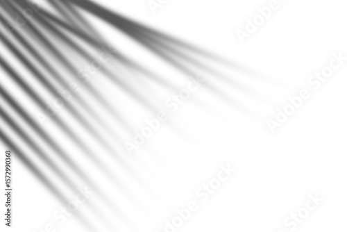 Gradient overlay effect, abstract background, texture design on transparent background.