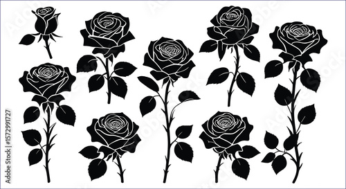 Black rose silhouettes with leaves and stems flower white