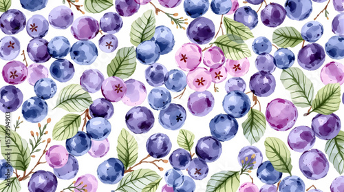 Watercolor background pattern berries on white background
