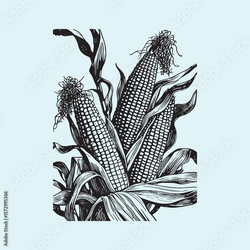 vector silhouette image of a corn with leaves, flat icon design, black bold