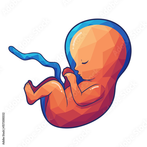Embryo in womb depicted in geometric style with orange and blue colors  