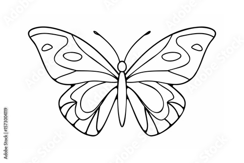 Delicate butterfly outline with intricate wing patterns