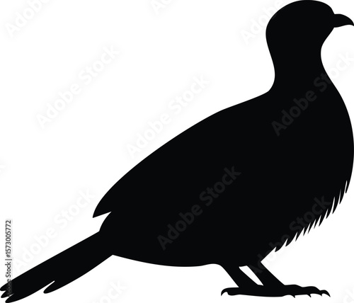 Elegant Birds Silhouette Vector EPS Sandgrouse Feather Puffed Design - Perfect for Print and Digital Projects