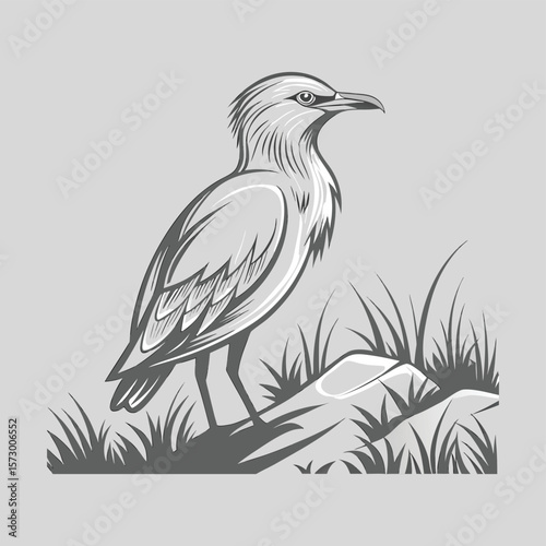 vector drawing of a bird