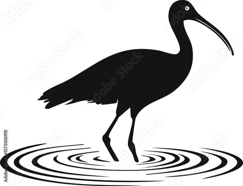 Elegant Ibis Bird Silhouette Vector EPS Illustration of a Wading Bird in Water