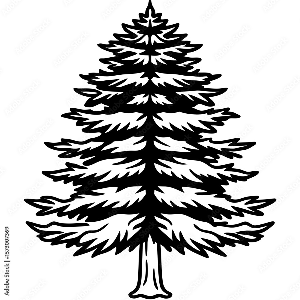 Obraz premium Cedar line art vector