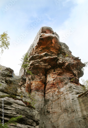 Landscape with rocks and boulders with green trees on a clear sunny day. Flora floristry landscaping plants flowers.